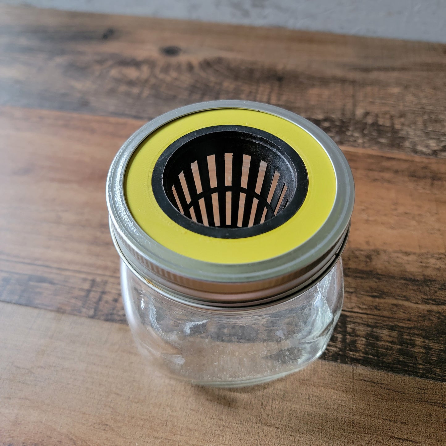 3D Printed Mason Jar Basket Hydroponics Lid Set of 2 - Grow Kit - Kratky Jar - Wide Mouth Mason Jar Lid