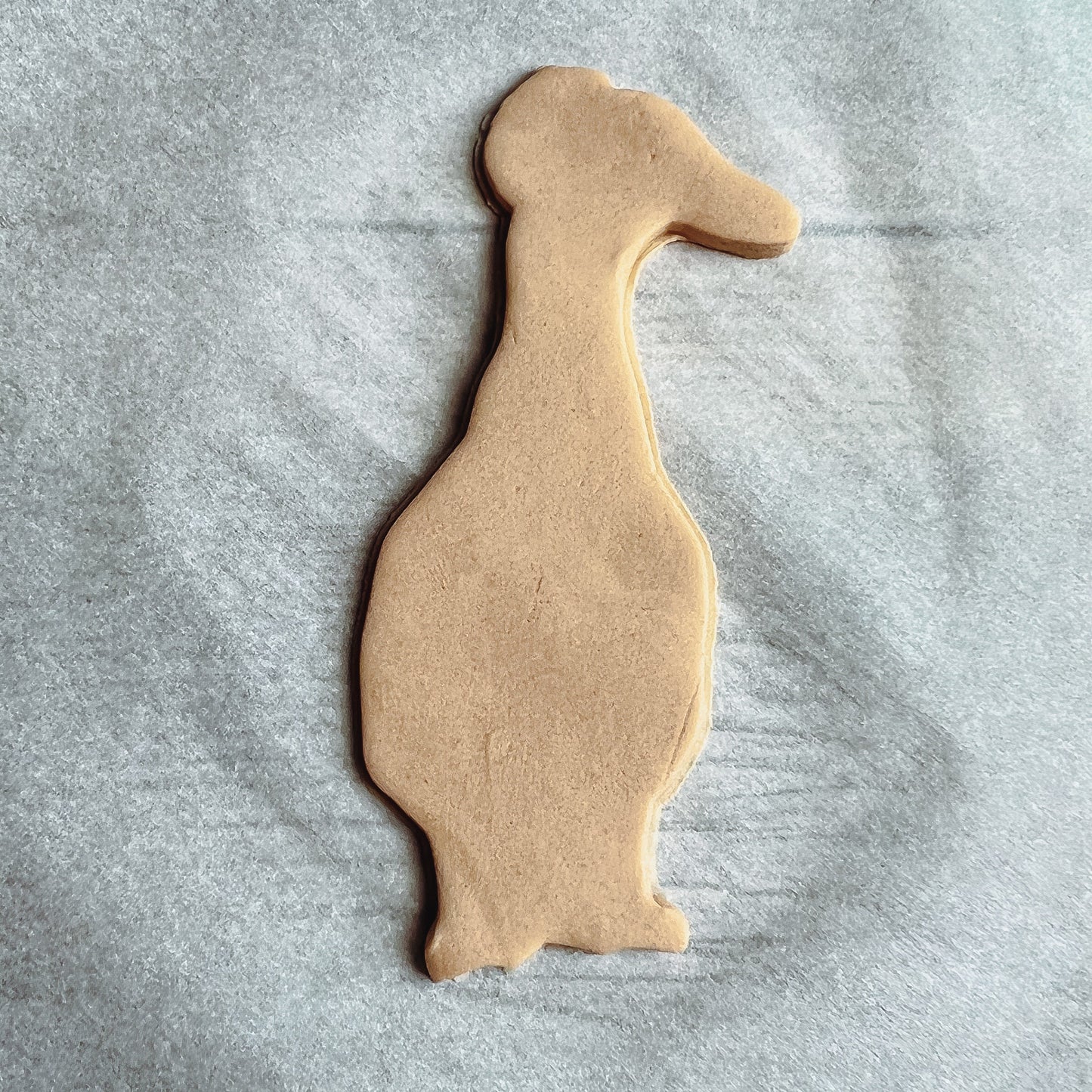 3D Printed Crested Duck Cookie Cutter