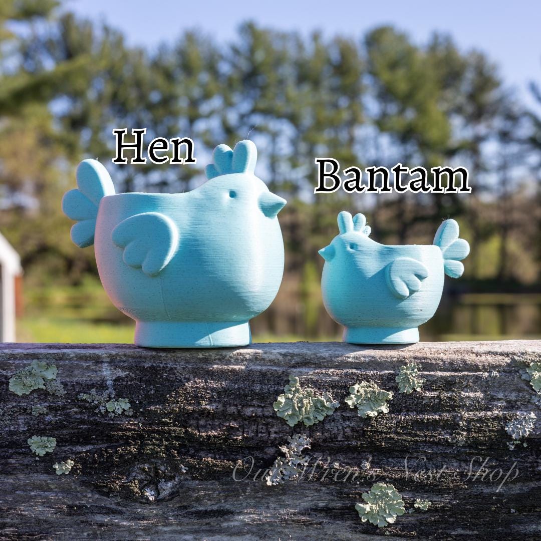 Farmhouse Chicken Planter – 3D Printed Flower Pot for Garden & Home Decor