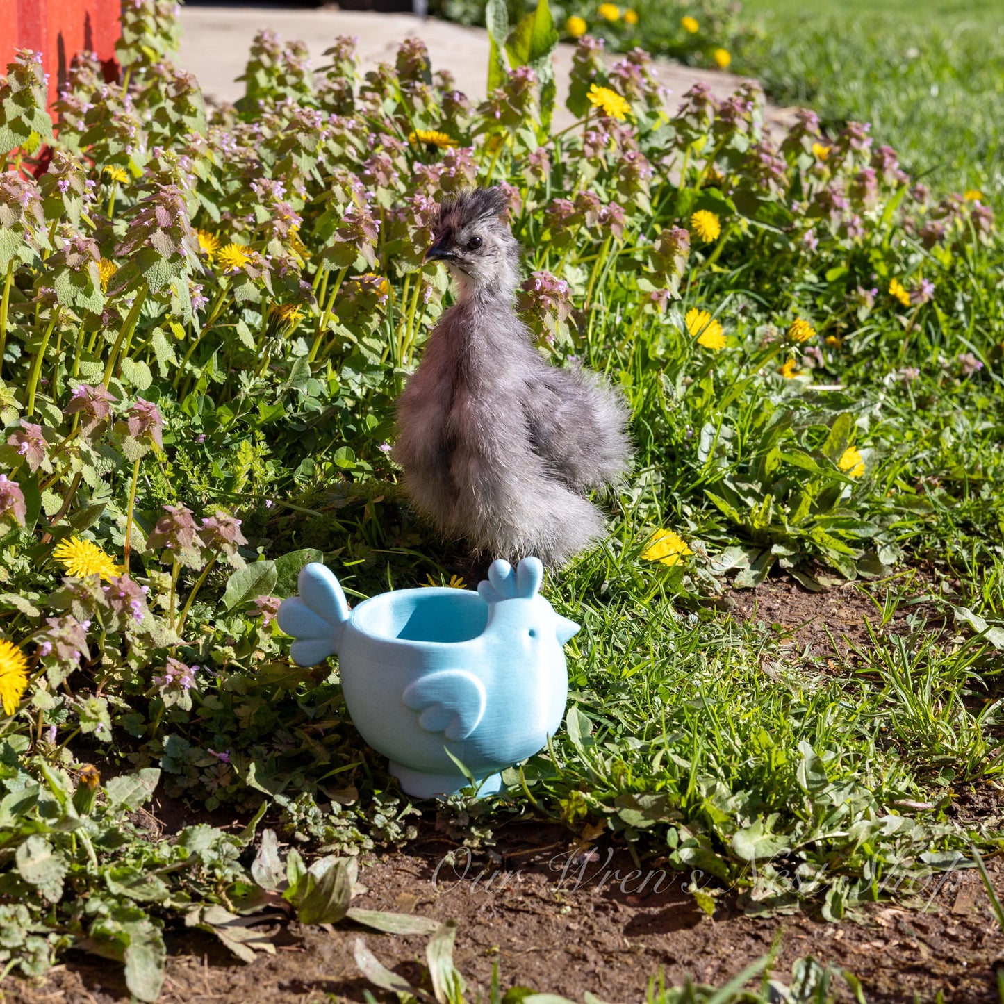 Farmhouse Chicken Planter – 3D Printed Flower Pot for Garden & Home Decor