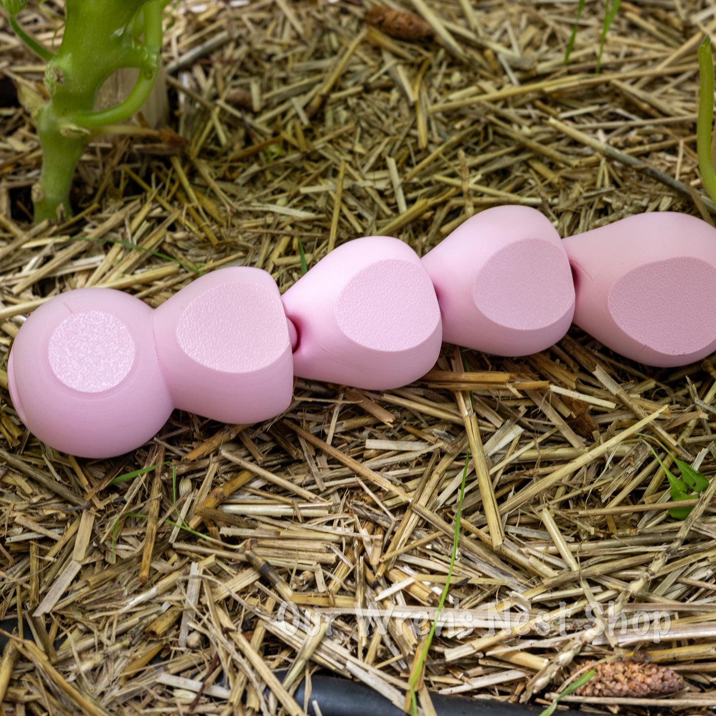 Wren The Wiggle Worm – 3D Printed Flexi Friend