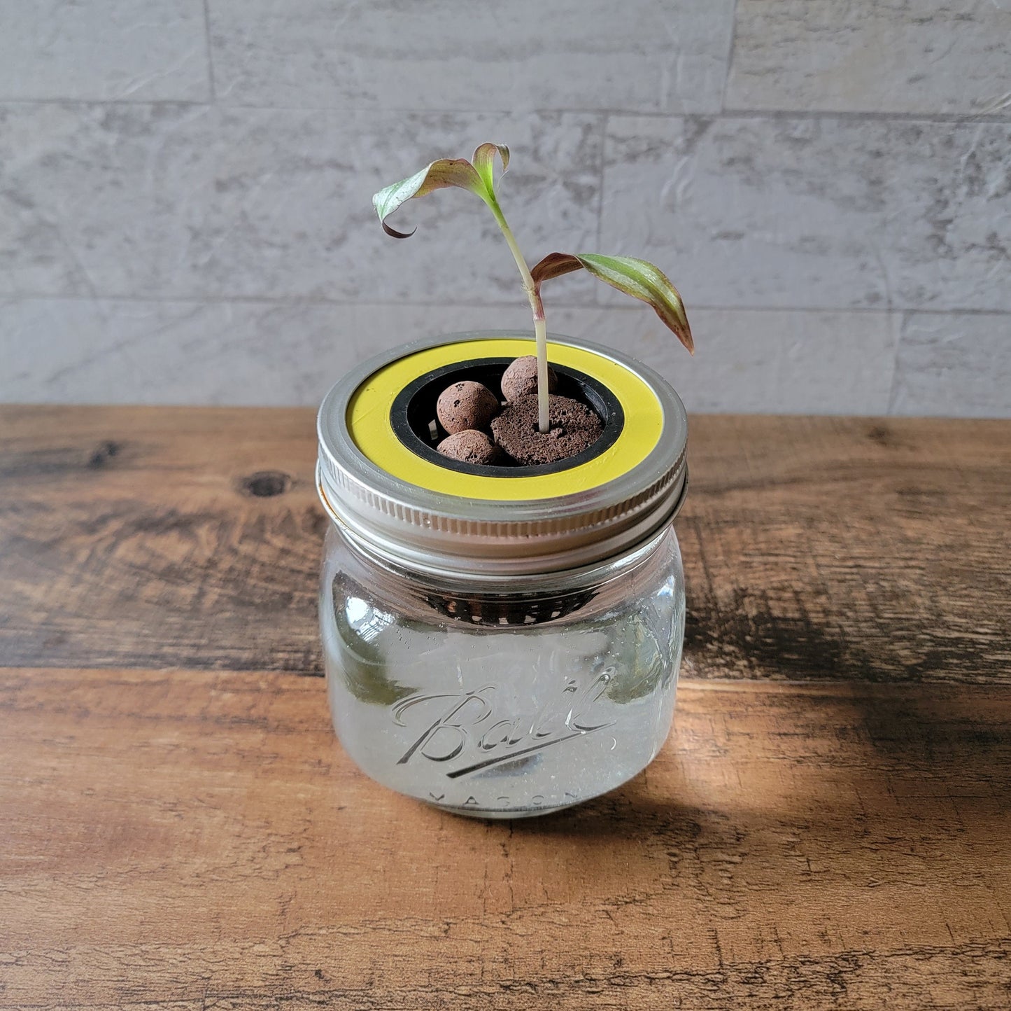 3D Printed Mason Jar Hydroponics Grow Kit: Kratky Method