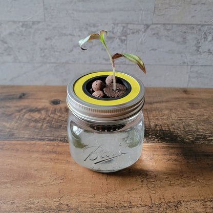3D Printed Mason Jar Hydroponics Grow Kit: Kratky Method