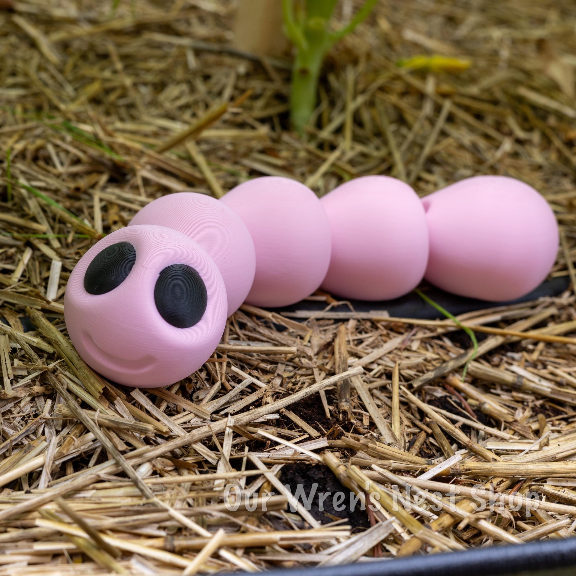 Wren The Wiggle Worm – 3D Printed Flexi Friend