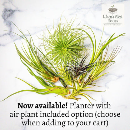 Baguette Bread Planter – 3D Printed PLA, Garden & Home Decor