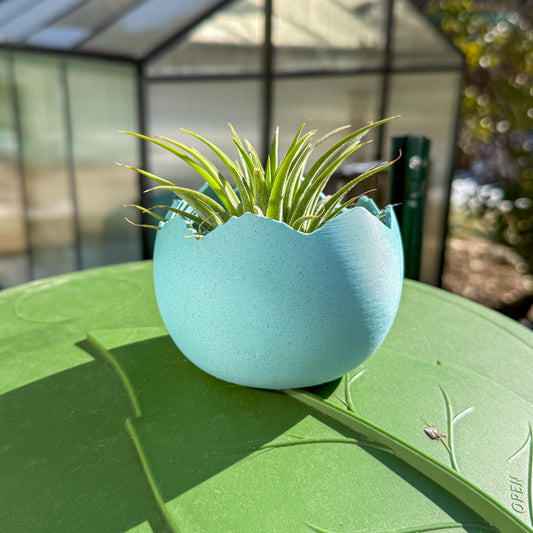 Eggcellent Egg Planter – Farm Inspired 3D Printed Flower Pot for Garden & Home Decor