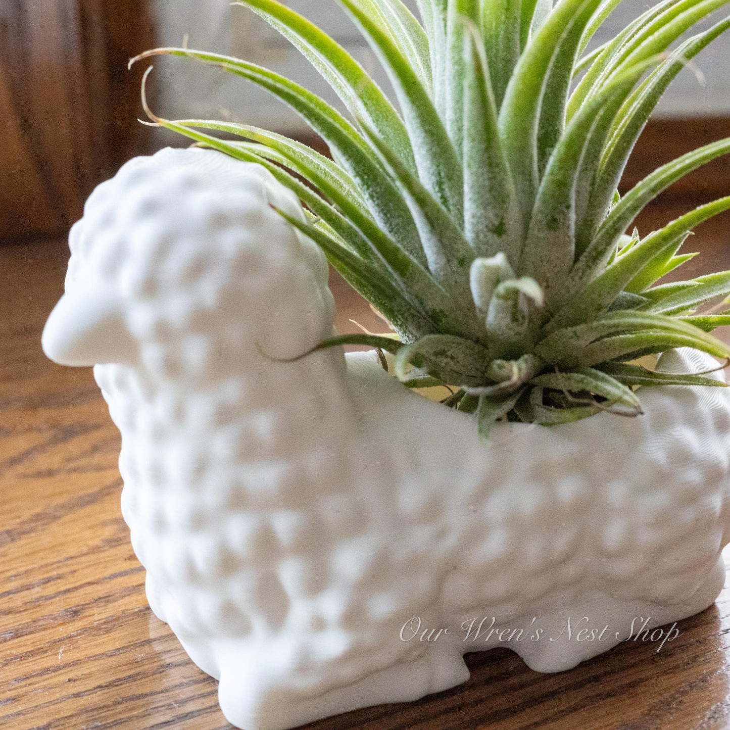 Little Lamb Air Plant Planter – 3D Printed Flower Pot for Garden & Home Decor