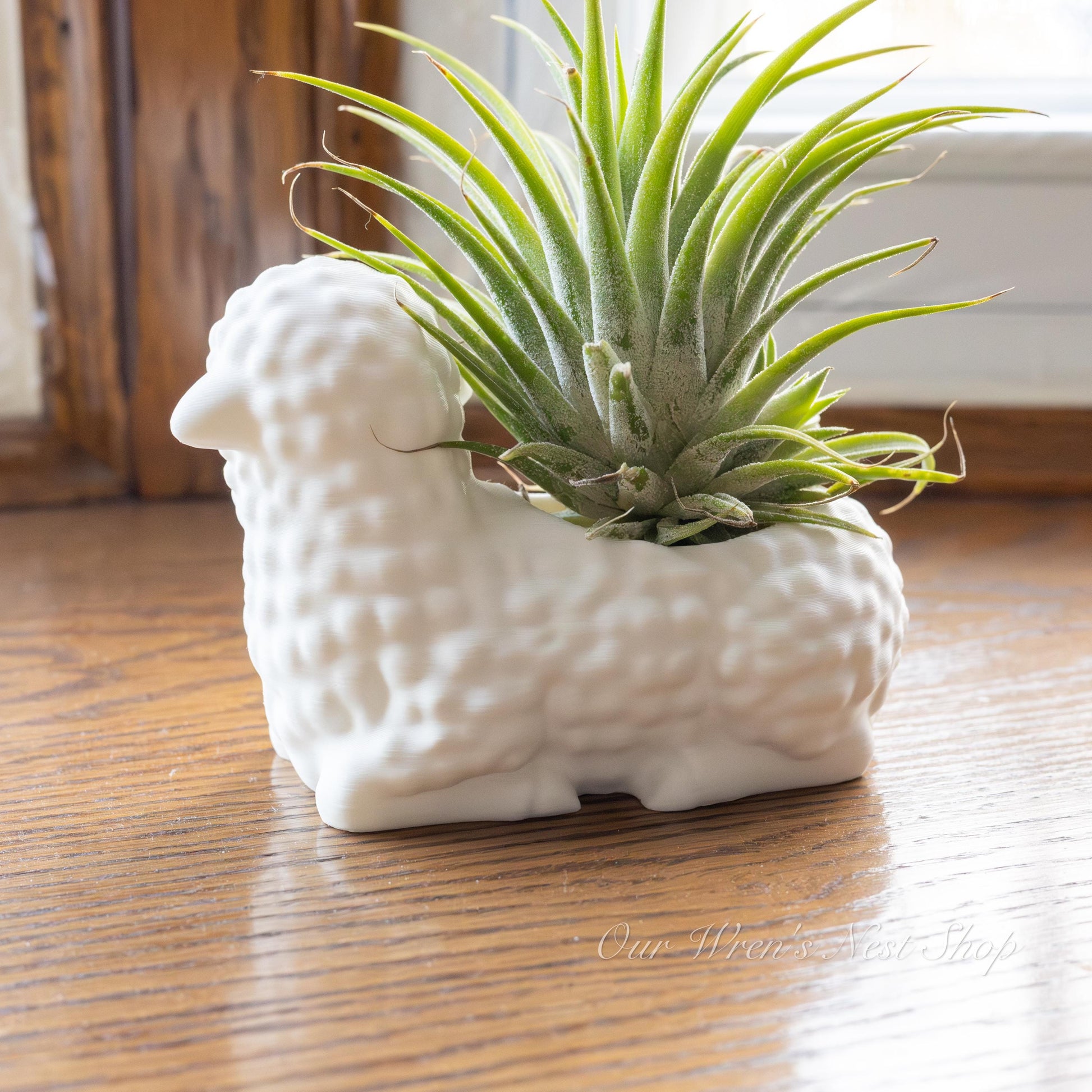 Little Lamb Air Plant Planter – 3D Printed Flower Pot for Garden & Home Decor