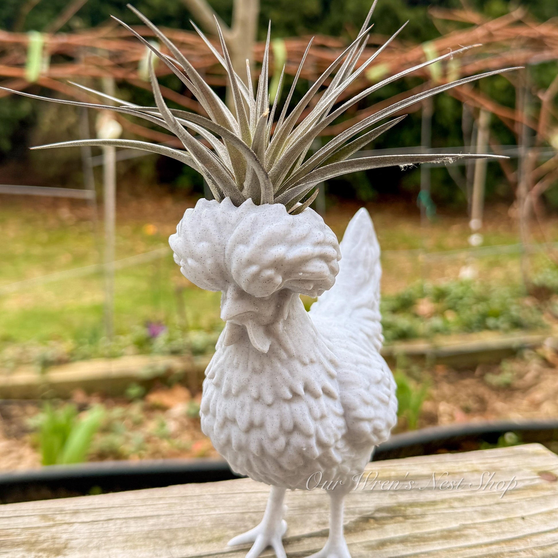 Polish Chicken Air Plant Planter – 3D Printed Flower Pot for Garden & Home Decor - Improved Design!