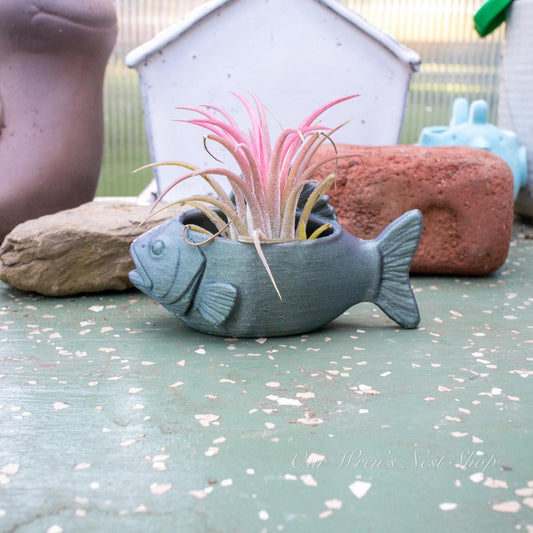 Lake Fish Air Plant Planter – 3D Printed Flower Pot for Garden & Home Decor