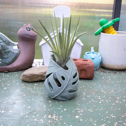 Monstera Leaf Air Plant Holder – 3D Printed Planter for Home Decor