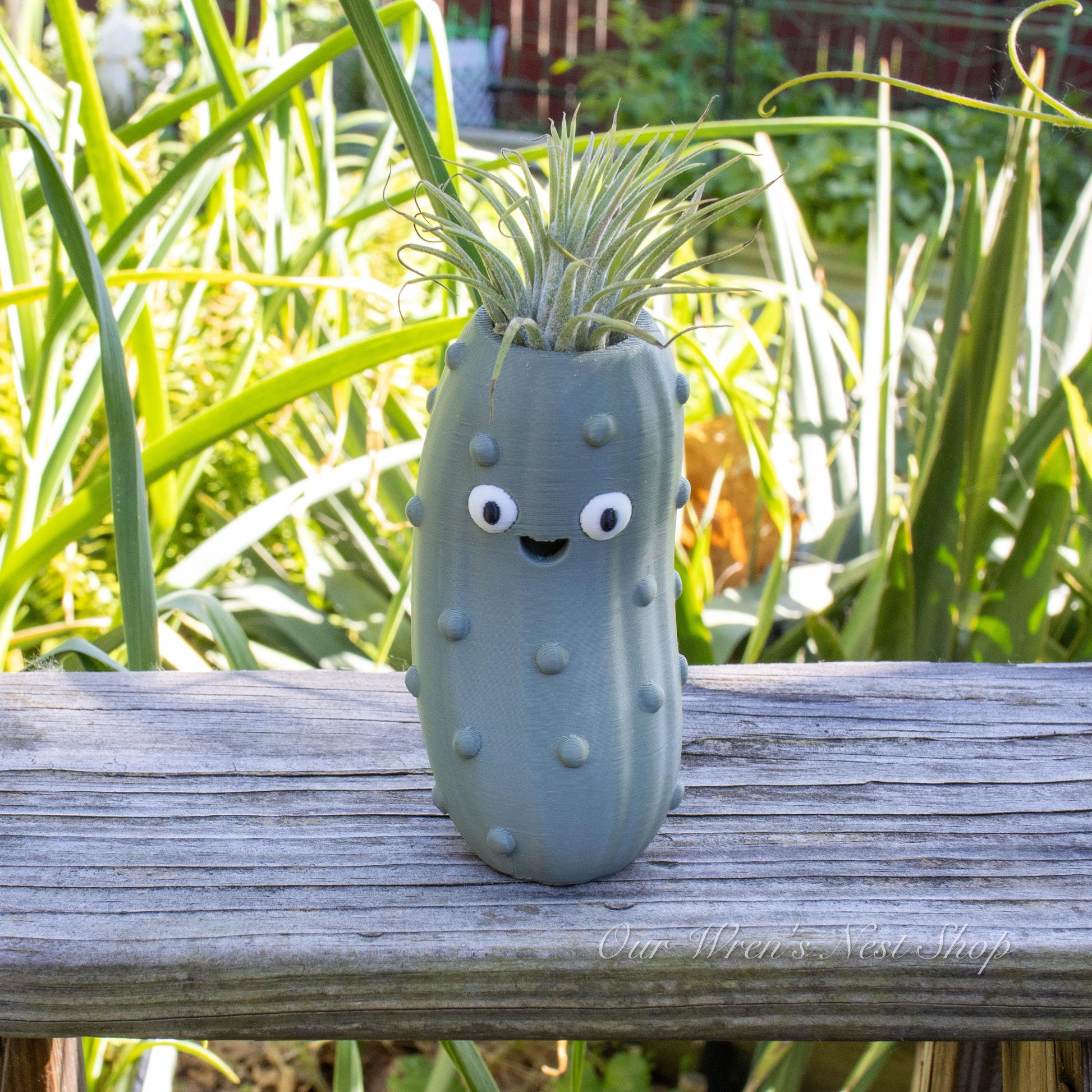 Pete the Pickle Air Plant Planter – 3D Printed Flower Pot for Garden & Home Decor
