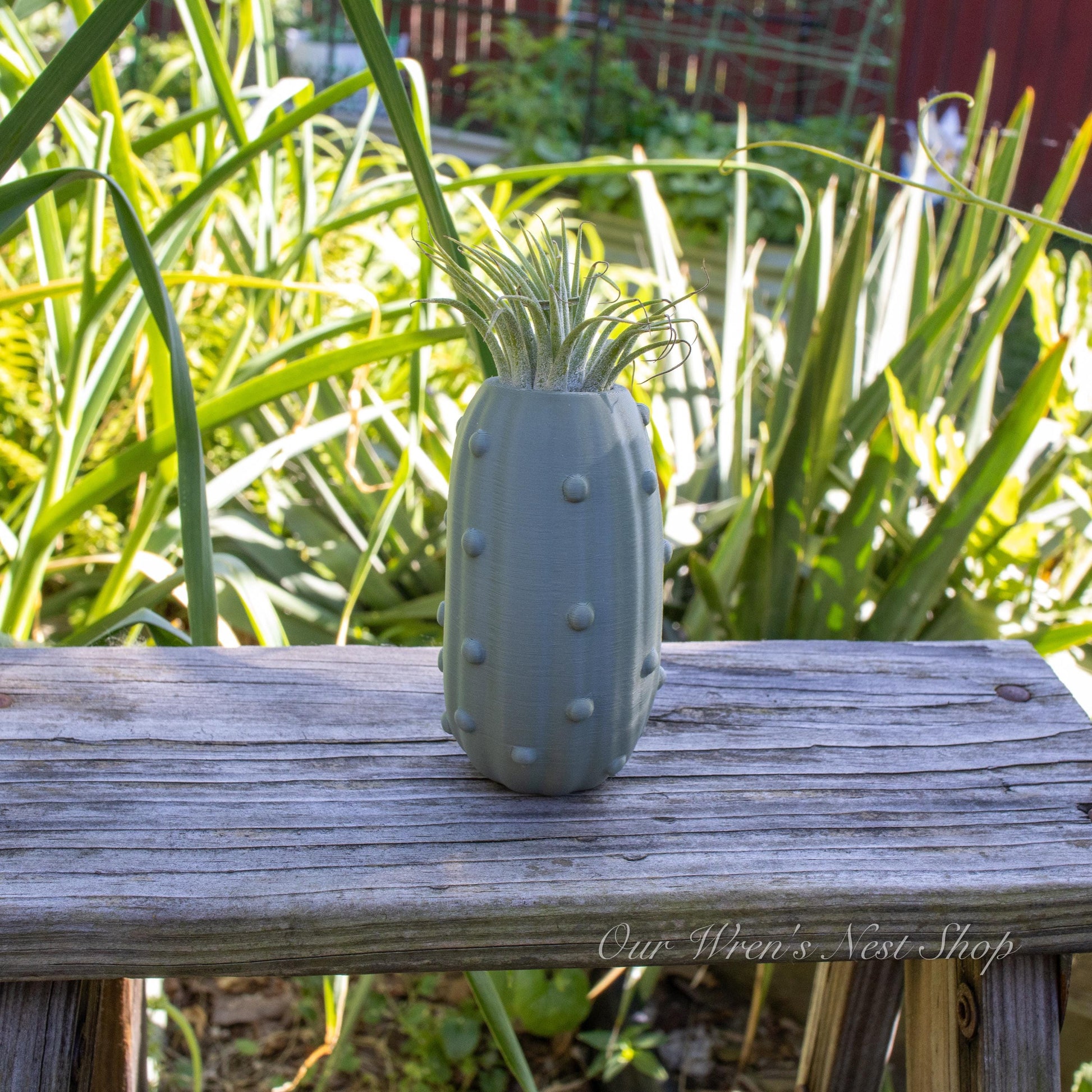 Pete the Pickle Air Plant Planter – 3D Printed Flower Pot for Garden & Home Decor
