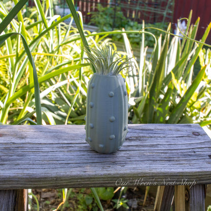 Pete the Pickle Air Plant Planter – 3D Printed Flower Pot for Garden & Home Decor