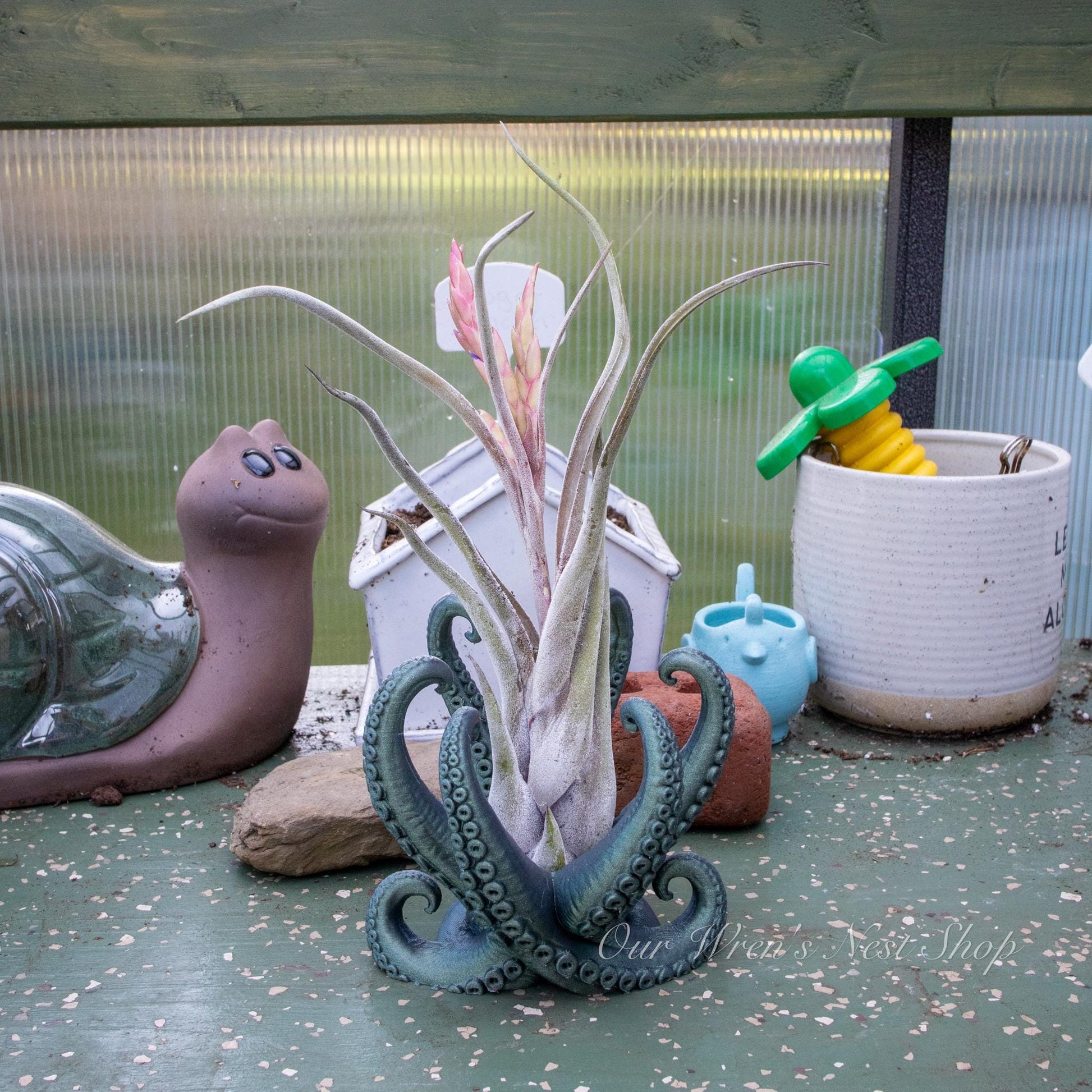 Deep Sea Creature Air Plant Planter – 3D Printed Coastal Plant Decor
