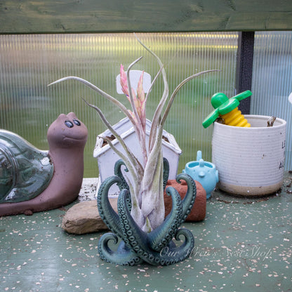 Deep Sea Creature Air Plant Planter – 3D Printed Coastal Plant Decor