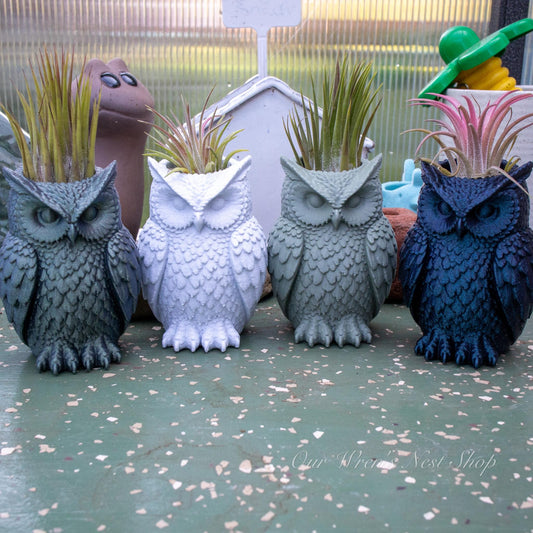 Woodland Owl Air Plant Planter – 3D Printed Flower Pot for Garden & Home Decor