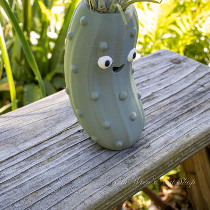 Pete the Pickle Air Plant Planter – 3D Printed Flower Pot for Garden & Home Decor