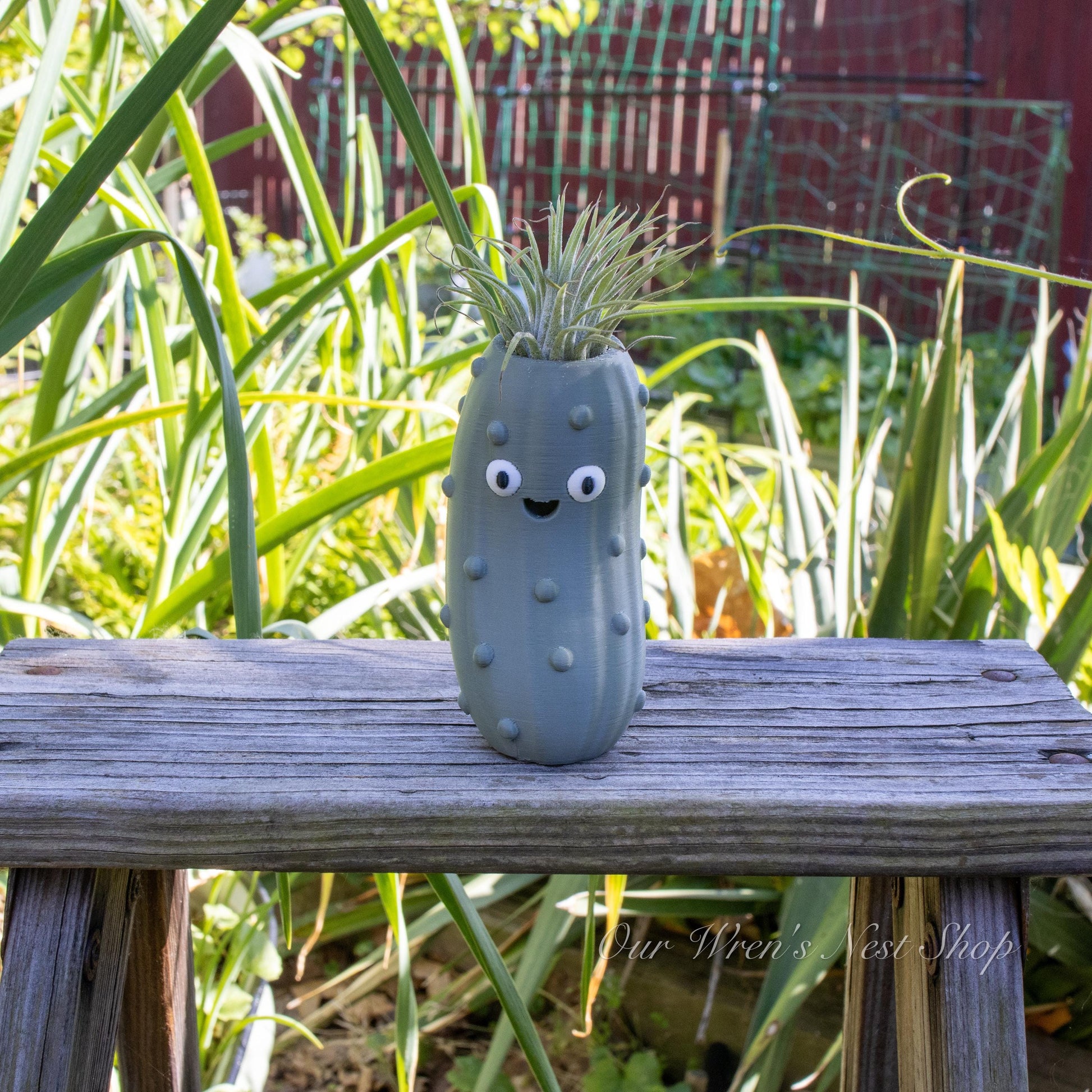 Pete the Pickle Air Plant Planter – 3D Printed Flower Pot for Garden & Home Decor