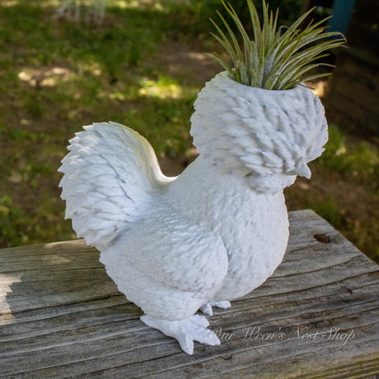 Silkie Chicken Air Plant Planter – 3D Printed Farmhouse Garden Decor