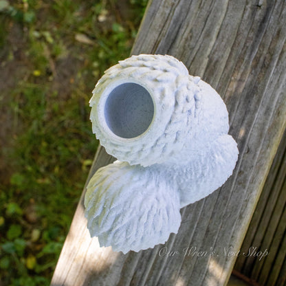 Silkie Chicken Air Plant Planter – 3D Printed Farmhouse Garden Decor