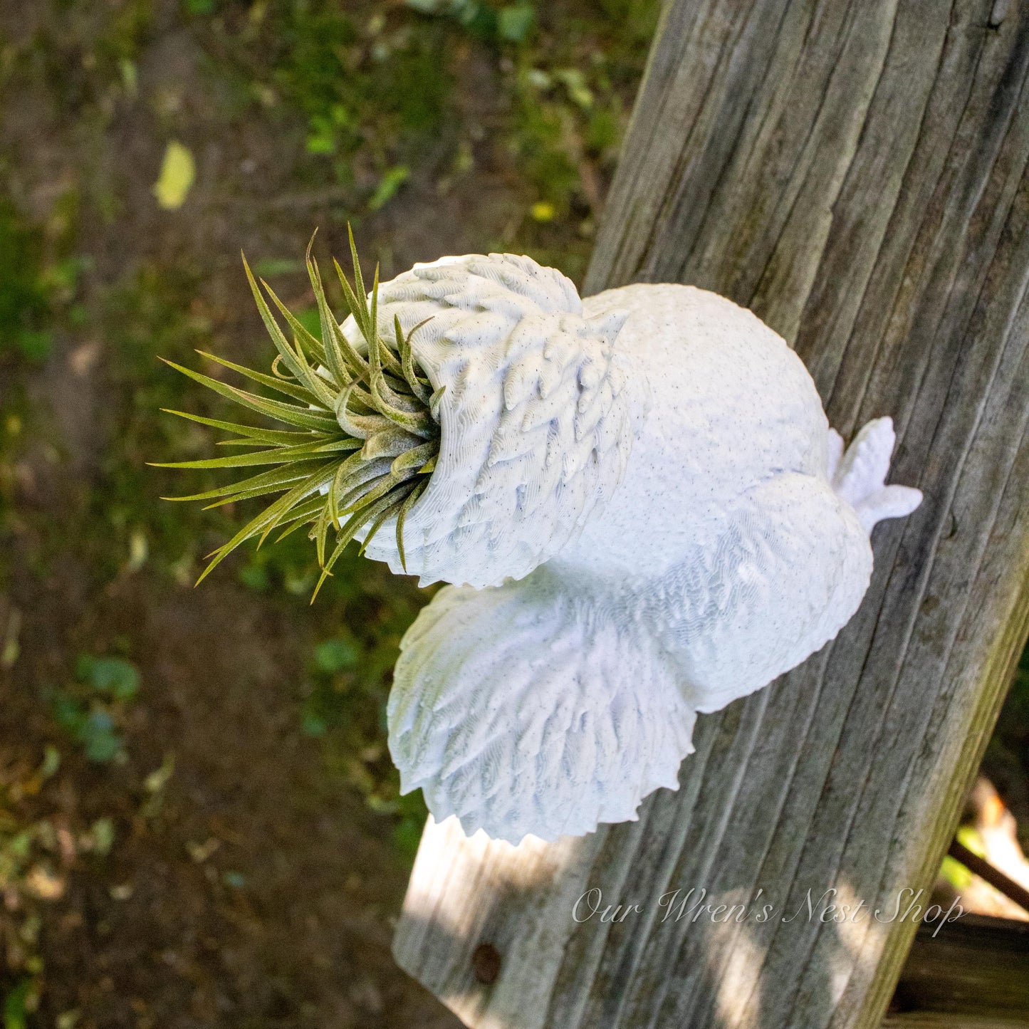 Silkie Chicken Air Plant Planter – 3D Printed Farmhouse Garden Decor