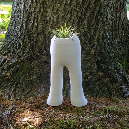 Midnight Walker Cryptid Air Plant Planter | 3D Printed Air Plant Holder | Cryptid Decor | Cute Monster Planter
