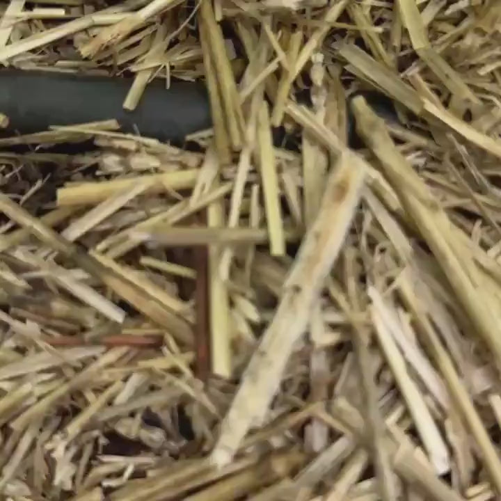 Wren The Wiggle Worm – 3D Printed Flexi Friend