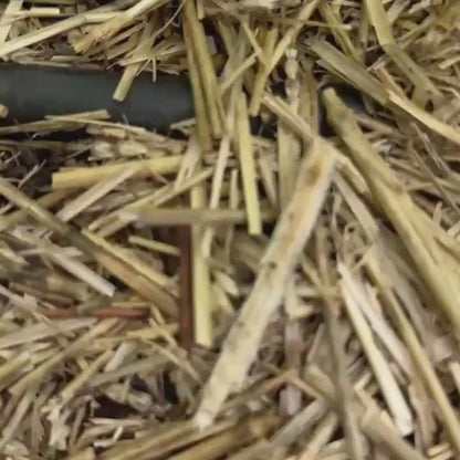 Wren The Wiggle Worm – 3D Printed Flexi Friend