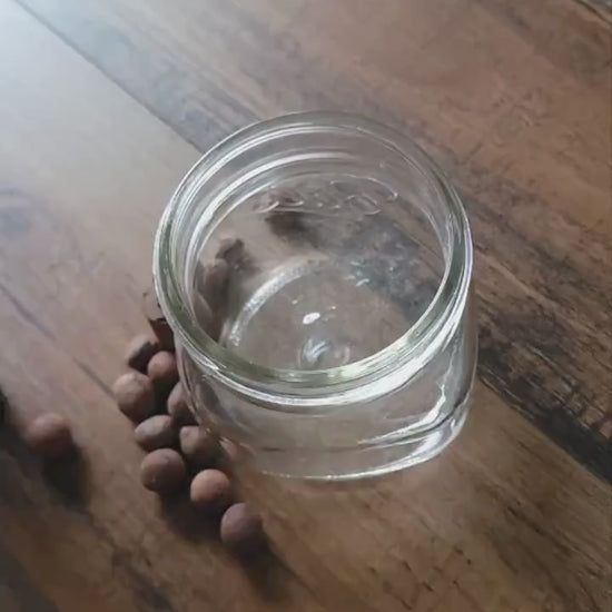 3D Printed Mason Jar Basket Hydroponics Lid Set of 2 - Grow Kit - Kratky Jar - Wide Mouth Mason Jar Lid