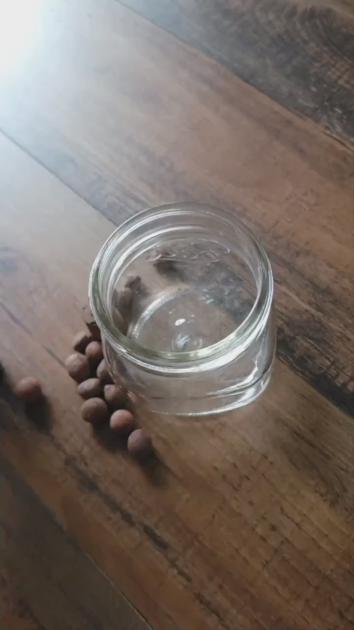 3D Printed Mason Jar Basket Hydroponics Lid Set of 2 - Grow Kit - Kratky Jar - Wide Mouth Mason Jar Lid